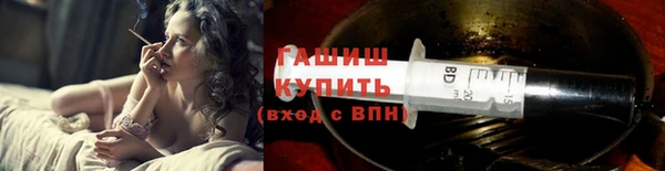 молекула духа Осташков