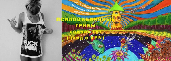 Альфа ПВП Пестово