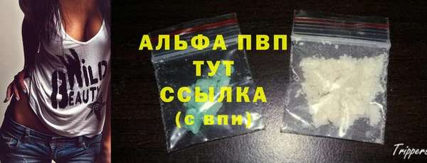 молекула духа Осташков
