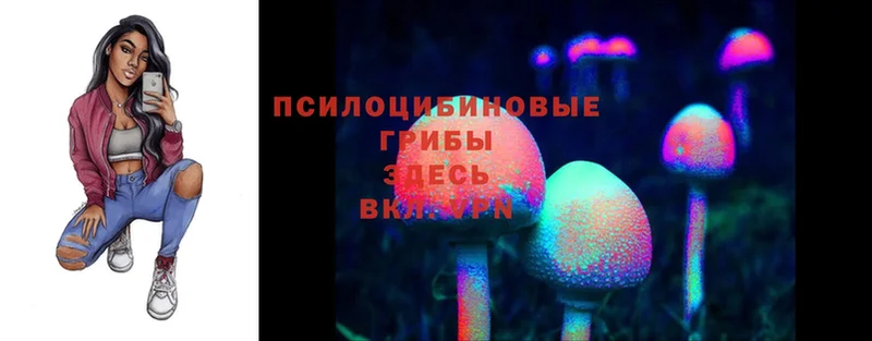 Псилоцибиновые грибы MAGIC MUSHROOMS Кулебаки