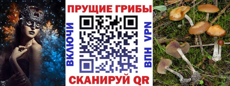 Псилоцибиновые грибы прущие грибы  где можно купить   Кулебаки 