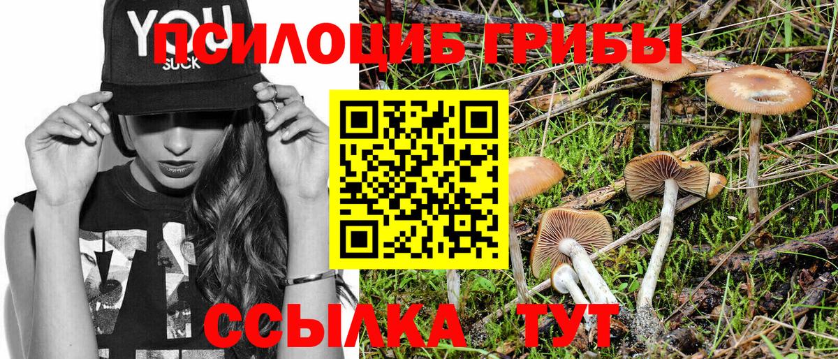 Псилоцибиновые грибы MAGIC MUSHROOMS Кулебаки