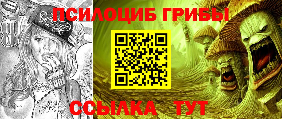 Псилоцибиновые грибы Psilocybine cubensis  Кулебаки 