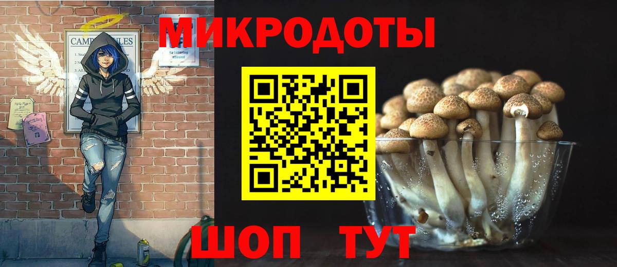 Галлюциногенные грибы мухоморы Кулебаки