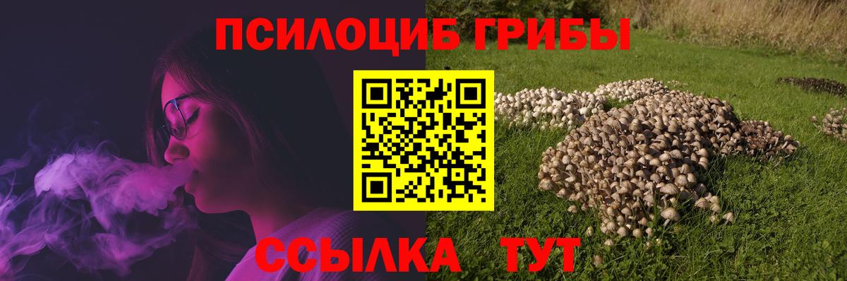 Кулебаки  что такое   Вход с VPN  Галлюциногенные грибы прущие грибы 