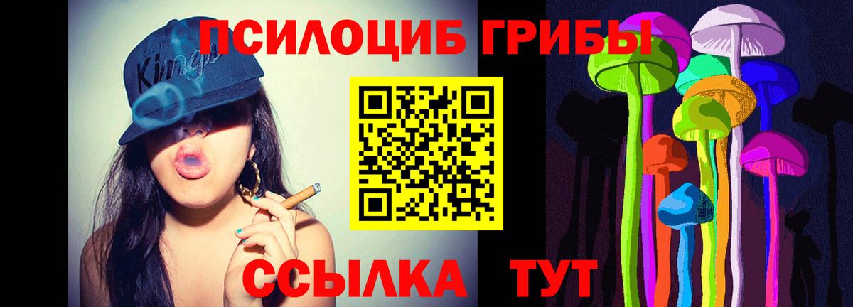 Псилоцибиновые грибы прущие грибы  Вход с VPN  купить закладку  Кулебаки 