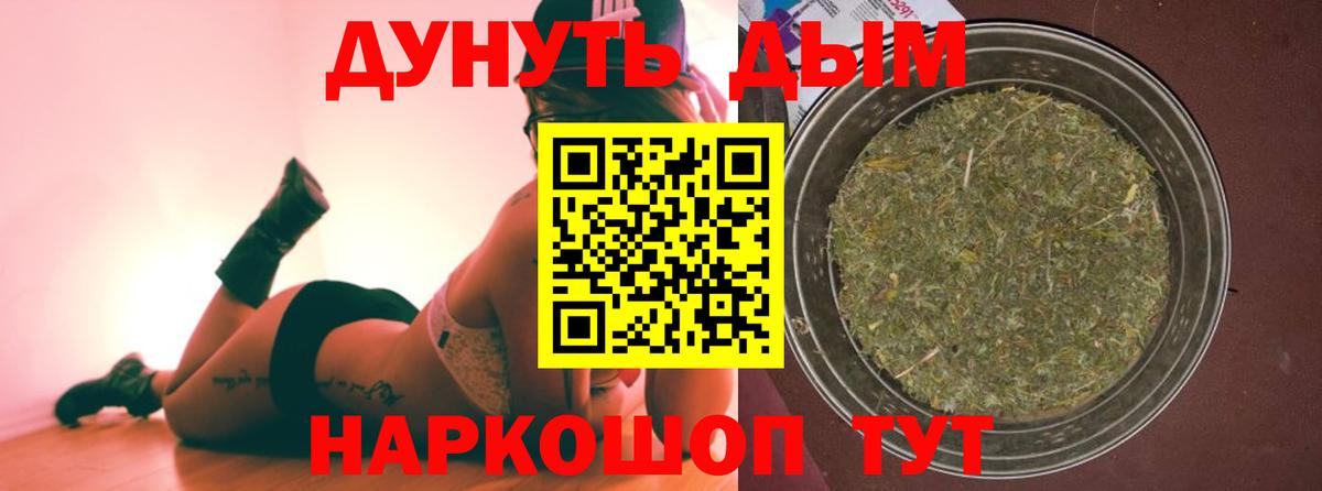 Конопля сатива Кулебаки